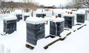 Winter Bee Hive Wraps